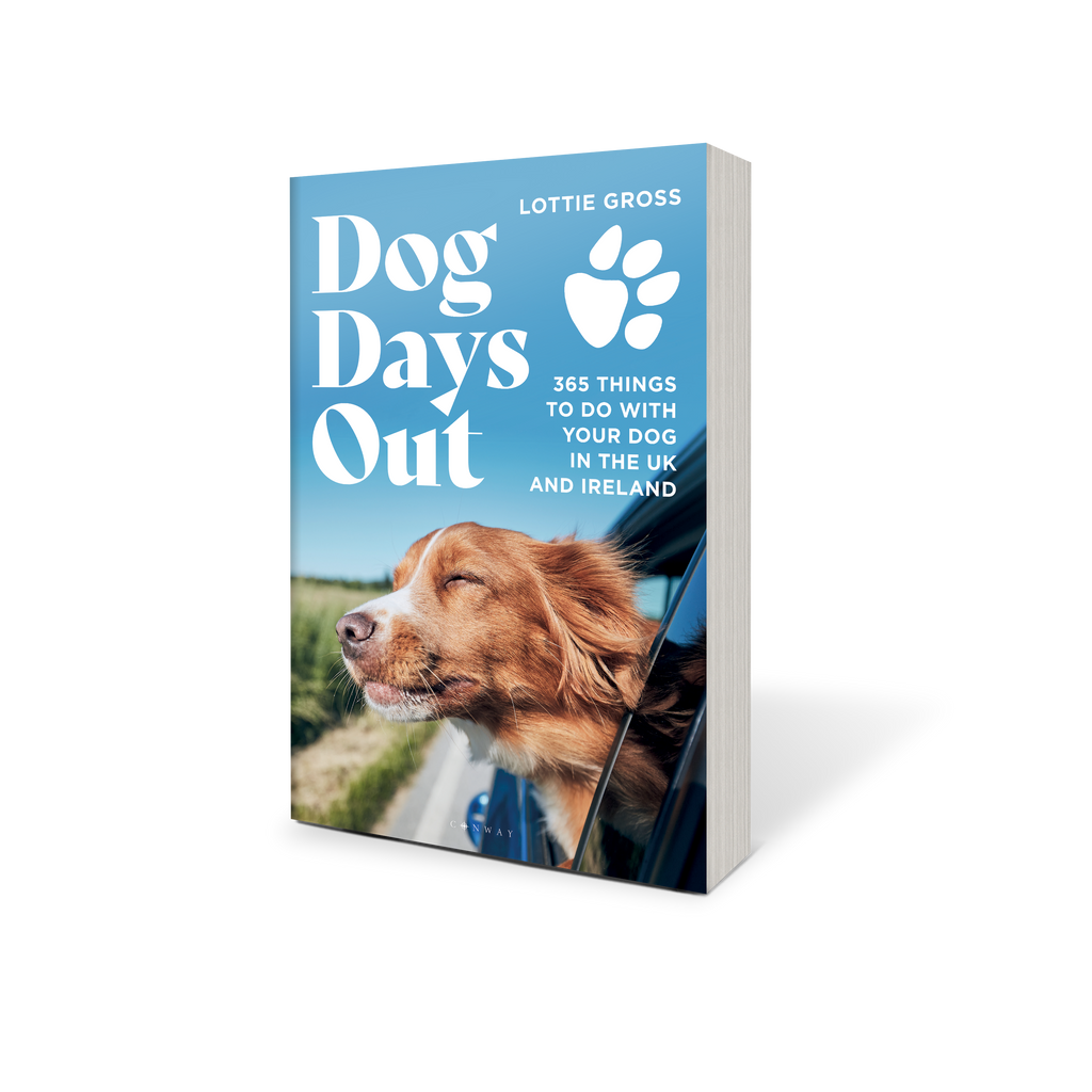 Dog Day Out book