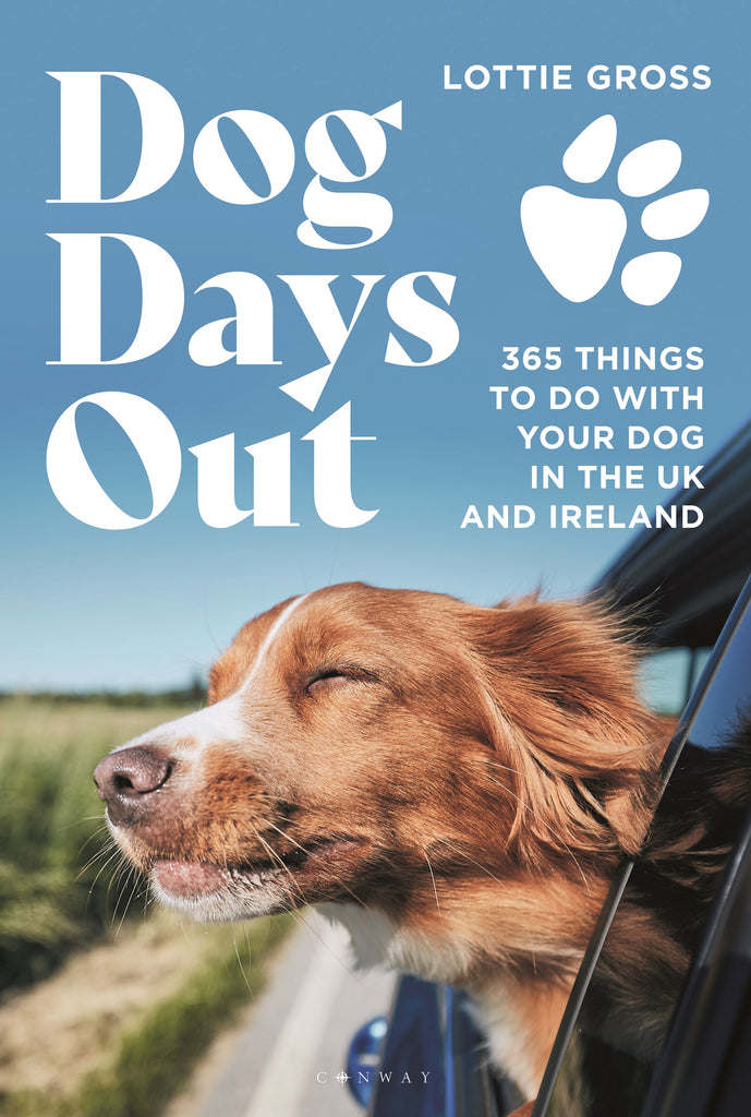 Dog Days Out cover